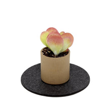 Load image into Gallery viewer, Graf Lantz Kitchen & Bar 8" diameter Charcoal Round Merino Wool Felt Trivets