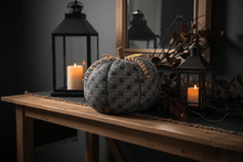 Load image into Gallery viewer, Collins Painting & Design Home Decor - Seasonal Fabric Pumpkin Spiderweb XL