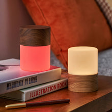 Load image into Gallery viewer, Gingko Design Other - Novelty Gifts Large / Walnut Lemelia Light