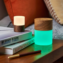 Load image into Gallery viewer, Gingko Design Other - Novelty Gifts Large / White Ash Lemelia Light