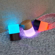 Load image into Gallery viewer, Gingko Design Other - Novelty Gifts Lemelia Light