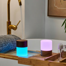 Load image into Gallery viewer, Gingko Design Other - Novelty Gifts Lemelia Light