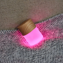 Load image into Gallery viewer, Gingko Design Other - Novelty Gifts Lemelia Light