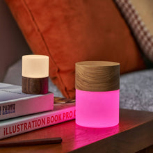 Load image into Gallery viewer, Gingko Design Other - Novelty Gifts Lemelia Light