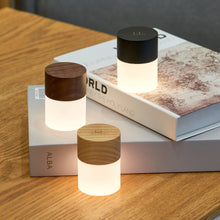 Load image into Gallery viewer, Gingko Design Other - Novelty Gifts Lemelia Light