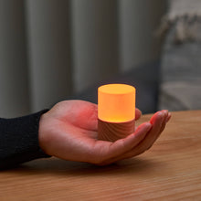 Load image into Gallery viewer, Gingko Design Other - Novelty Gifts Lemelia Light