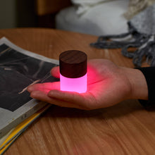 Load image into Gallery viewer, Gingko Design Other - Novelty Gifts Lemelia Light