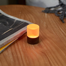 Load image into Gallery viewer, Gingko Design Other - Novelty Gifts Lemelia Light