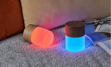 Load image into Gallery viewer, Gingko Design Other - Novelty Gifts Lemelia Light