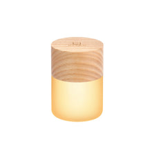 Load image into Gallery viewer, Gingko Designs Other - Novelty Gifts White Ash / Mini Lemelia Light