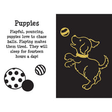 Load image into Gallery viewer, Peter Pauper Press Scratch & Sketch Furry Friends