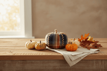 Load image into Gallery viewer, Collins Painting & Design Home Decor - Seasonal Sm. Multi Color Fabric Pumpkin