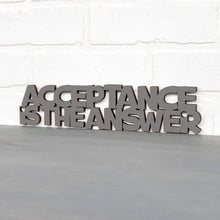 Load image into Gallery viewer, Spunky Fluff Proudly handmade in South Dakota, USA Small / Charcoal Gray Acceptance Is the Answer