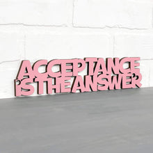 Load image into Gallery viewer, Spunky Fluff Proudly handmade in South Dakota, USA Small / Pink Acceptance Is the Answer