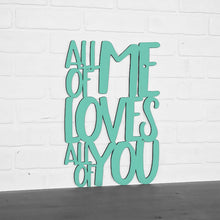 Load image into Gallery viewer, Spunky Fluff Proudly handmade in South Dakota, USA Medium / Turquoise All Of Me Loves All Of You