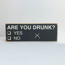 Load image into Gallery viewer, Sawdust City Proudly Handmade in Wisconsin, USA "Are You Drunk?" Wooden Sign