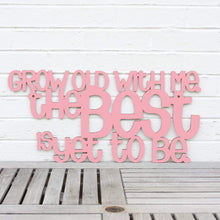 Load image into Gallery viewer, Spunky Fluff Proudly handmade in South Dakota, USA Medium / Pink Grow Old With Me