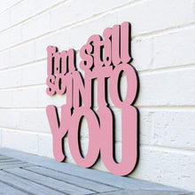 Load image into Gallery viewer, Spunky Fluff Proudly handmade in South Dakota, USA Small / Pink I'm Still So Into You