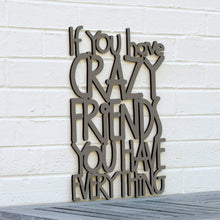 Load image into Gallery viewer, Spunky Fluff Proudly handmade in South Dakota, USA Medium / Charcoal Gray If You Have Crazy Friends You Have Everything