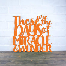 Load image into Gallery viewer, Spunky Fluff Proudly Handmade in South Dakota, USA Medium / Orange These are the Days of Miracle and Wonder