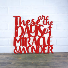 Load image into Gallery viewer, Spunky Fluff Proudly Handmade in South Dakota, USA Medium / Red These are the Days of Miracle and Wonder