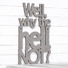 Load image into Gallery viewer, Spunky Fluff Proudly handmade in South Dakota, USA Small / Weathered Gray Well, Why the Hell Not?