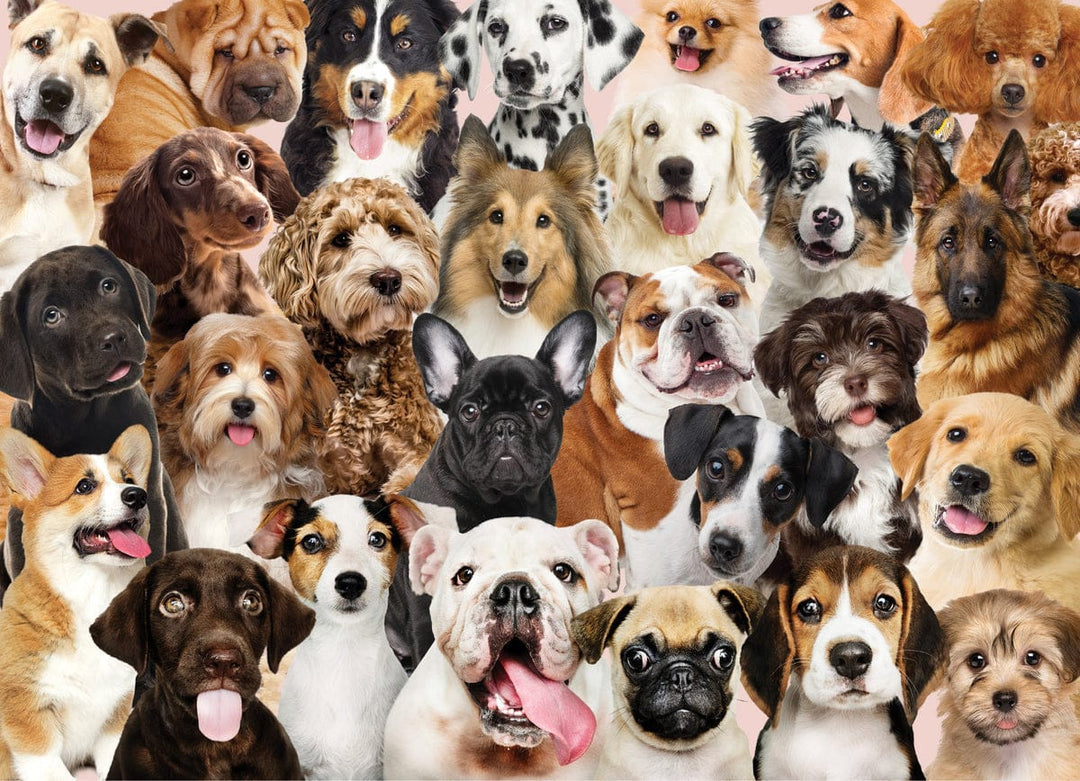 Peter Pauper Press Books Cards Games and Puzzles - Games and Puzzles All the Dogs 500 Piece Jigsaw Puzzle