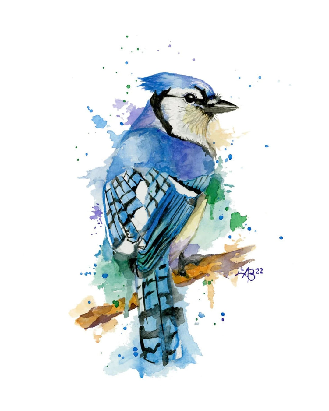 Aaron Burgers Wall Art Bluejay Print