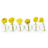 Chive Home Decor - Home Accent Caterpillar Bud Vase Large