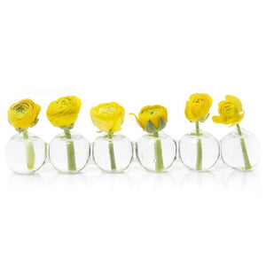 Chive Home Decor - Home Accent Caterpillar Bud Vase Large