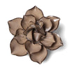 Chive Home Decor - Home Accent Ceramic Flower Latte Daffodil