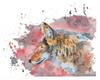 Aaron Burgers Wall Art Coyote Print