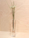 Tizo Design Home Decor - Home Accent Crystal Bud Vase