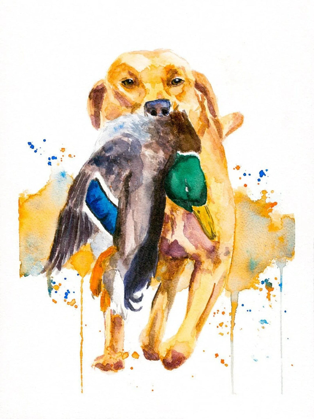 Aaron Burgers Wall Art Dex w/ Duck Print