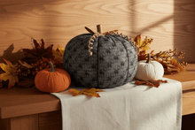 Load image into Gallery viewer, Collins Painting &amp; Design Home Decor - Seasonal Fabric Pumpkin Spiderweb XL

