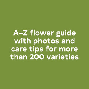 Hachette Book Group USA Books Cards Games and Puzzles - Books Floret Farm's A Year in Flowers Book