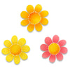 Roeda Studio Proudly Designed in Michigan, USA Flower Mini Art Pop Magnets, Set of 3 Flower Magnets