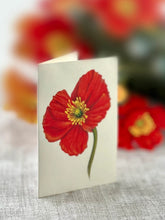 Load image into Gallery viewer, FreshCut Paper LLC Greeting &amp; Note Cards French Poppies Pop-Up Greeting Card
