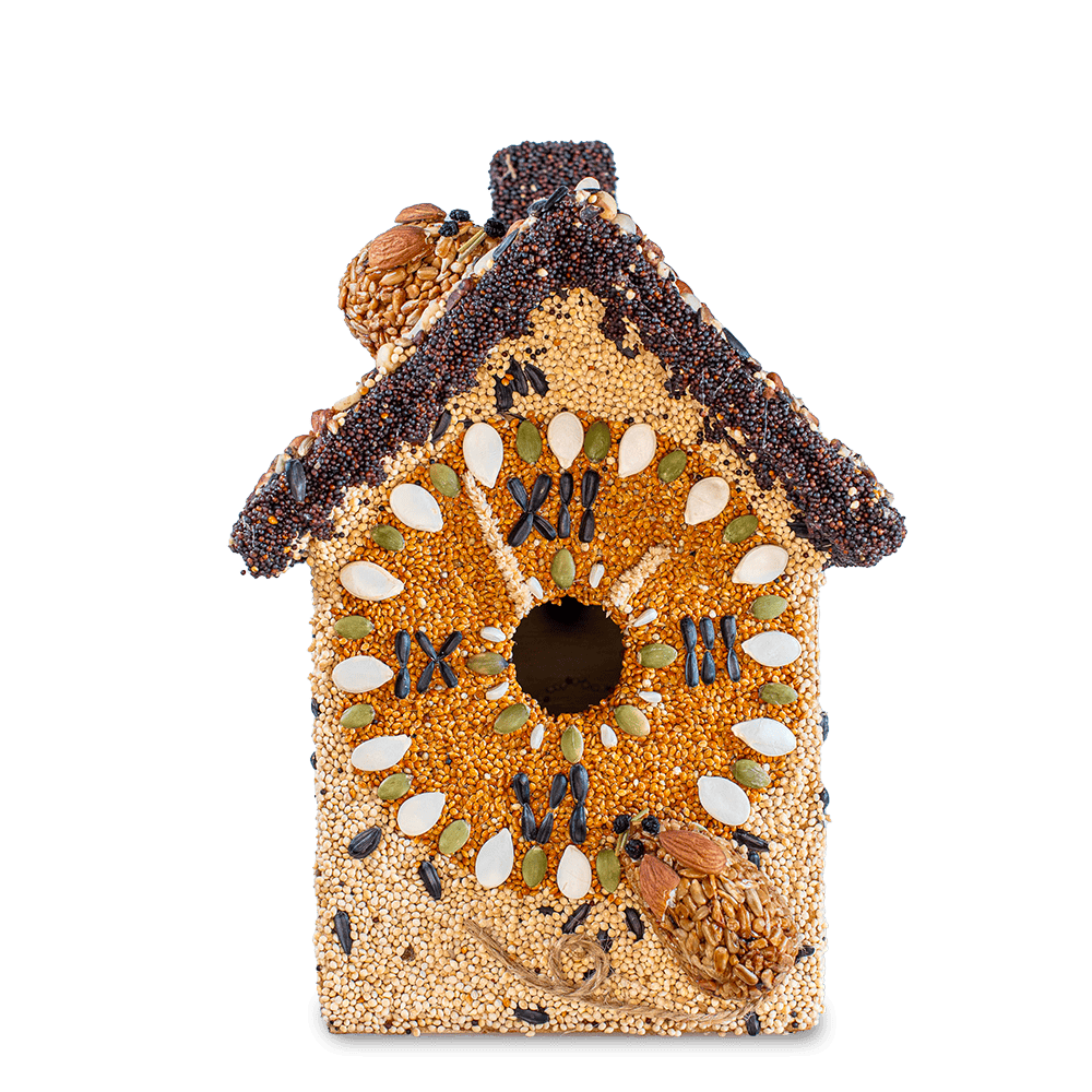 Mr. Bird Birdhouse Hickory Dickory Clock Birdhouse