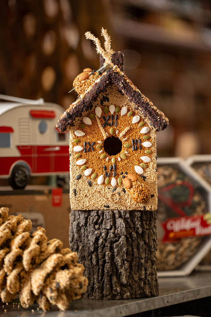 Mr. Bird Birdhouse Hickory Dickory Clock Birdhouse