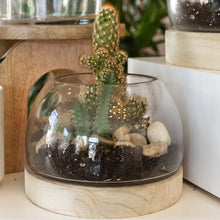 Load image into Gallery viewer, Accent Decor Home Decor - Home Accent Jonah Terrarium Small
