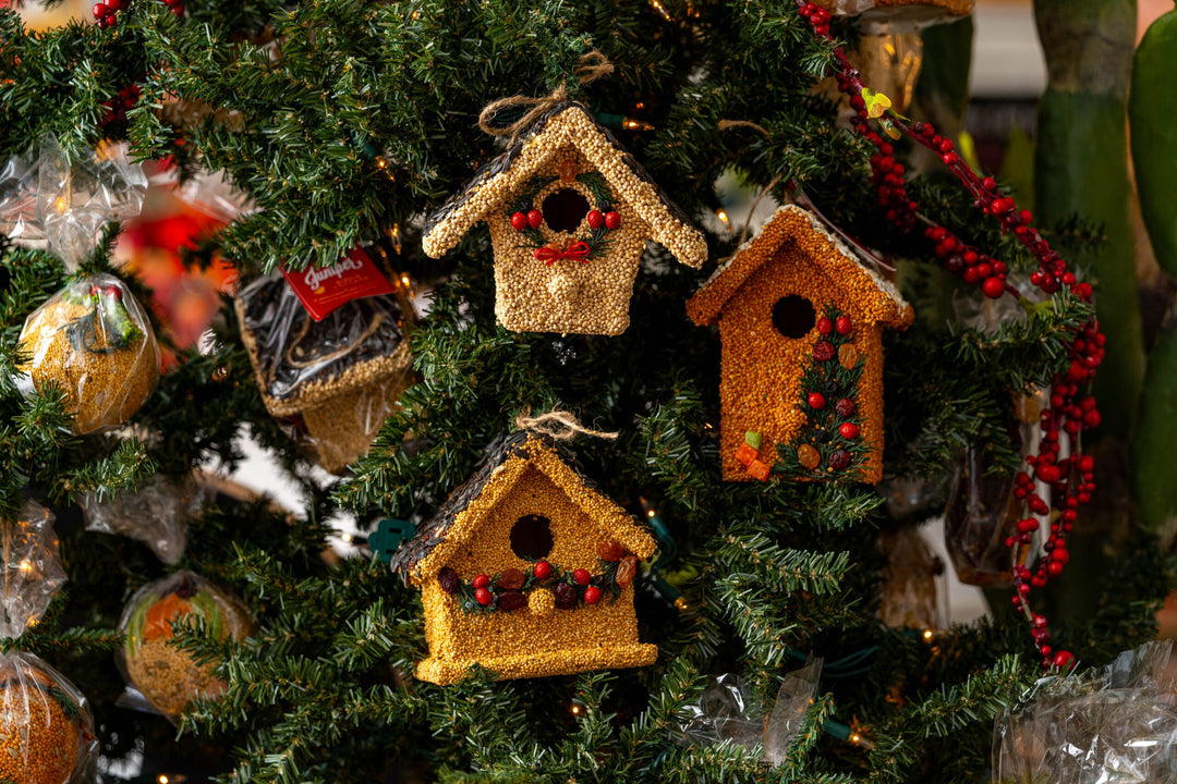 Mr. Bird Decorative Birdhouse Juniper Birdie Cottage Bird Seed Treat