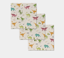Load image into Gallery viewer, Geometry Luxe Wash Cloth Set - Dancing Dinos
