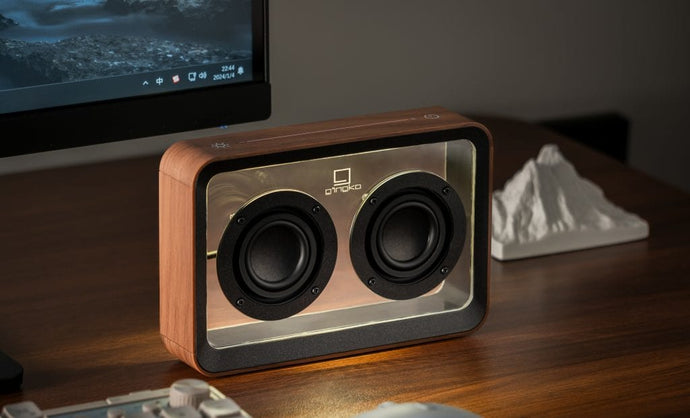 Gingko Designs Decor Walnut Mage See Through Speaker