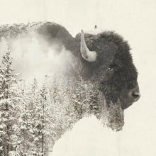 Load image into Gallery viewer, PaperProducts Design Drinkware Majestic Buffalo Beverage Napkin
