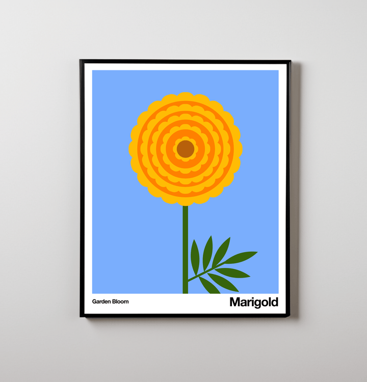 Little Dipper Art Marigold | Art Print | Garden Bloom