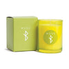 Kalastyle Soap Co Home Decor - Indoor - Bath and Spa Moss Candle