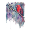 Aaron Burgers Wall Art Northen Cardinal Print II