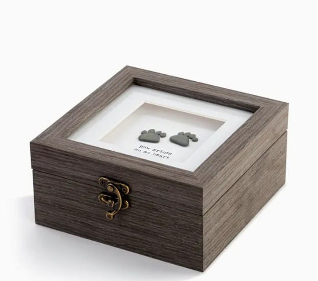 Demdaco Home Decor - Kitchen Gourmet Entertaining - Serveware Functional Paw Prints Keepsake Box