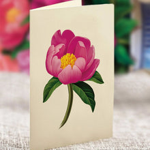 Load image into Gallery viewer, FreshCut Paper LLC Greeting &amp; Note Cards Peony Paradise Pop Up Bouquet &amp; Card
